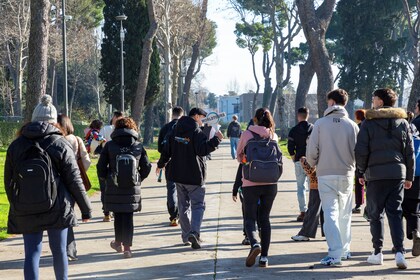 Pompeii Only Walking Tour