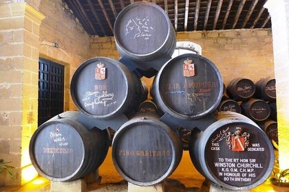 Private Jerez Winery and Jerez Brandy Experience from Seville Hotel pick up