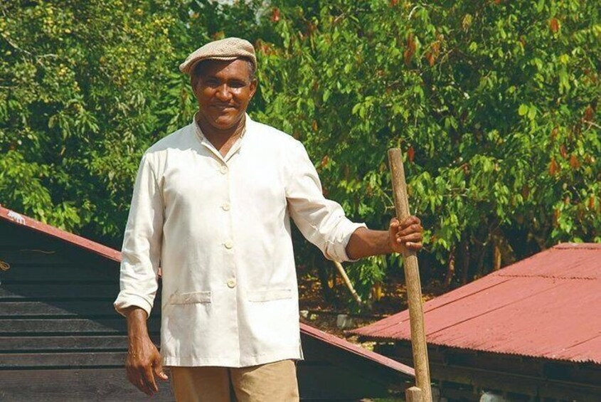 Cocoa trail and making of chocolate tour from Santo Domingo