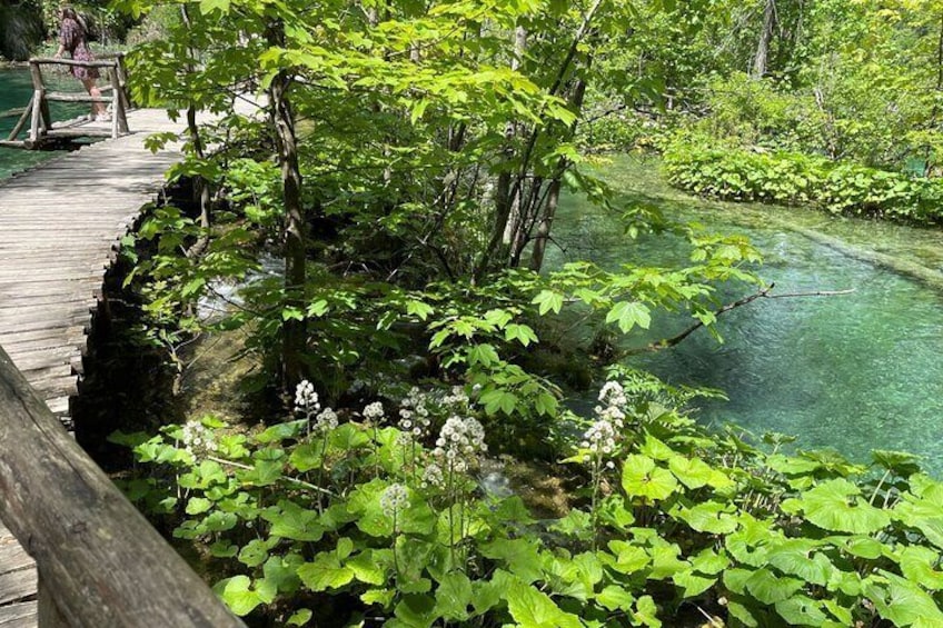 Private Day Trip: Stunning Plitvice Lakes and Rastoke from Zagreb