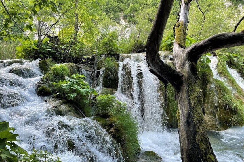 Private Day Trip: Stunning Plitvice Lakes and Rastoke from Zagreb