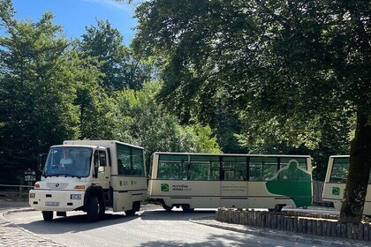 Visite d’une journée complète au parc national des lacs de Plitvice et à Ra...