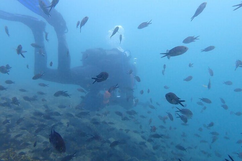 Pula Discover Scuba Diving Package