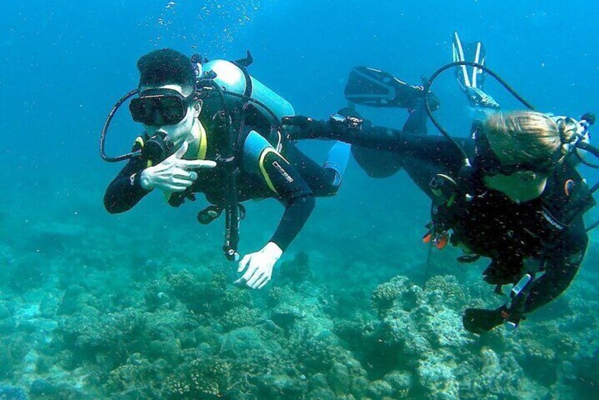 Scuba Diving for Beginners in Pula