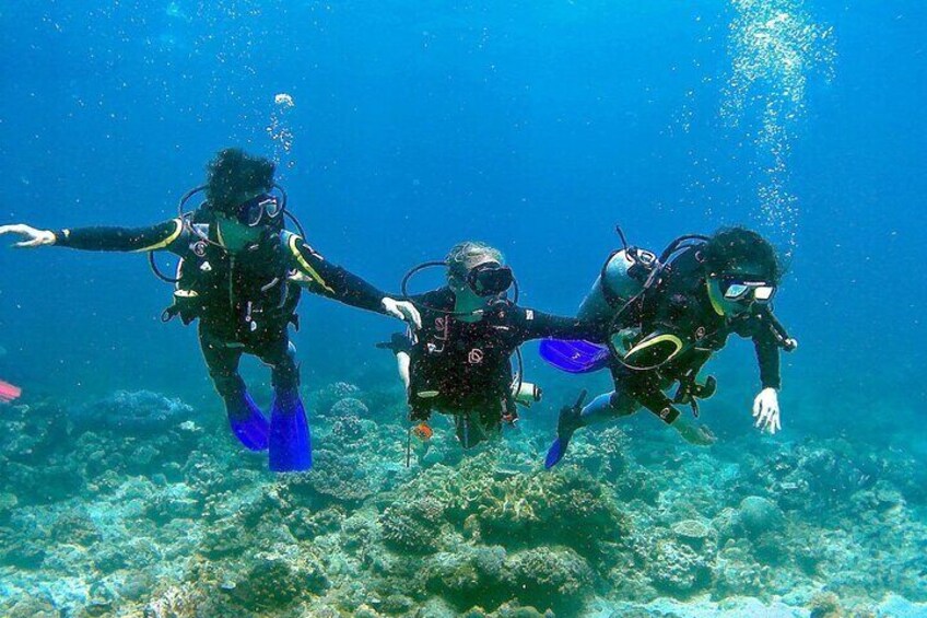 Scuba Diving for Beginners in Pula