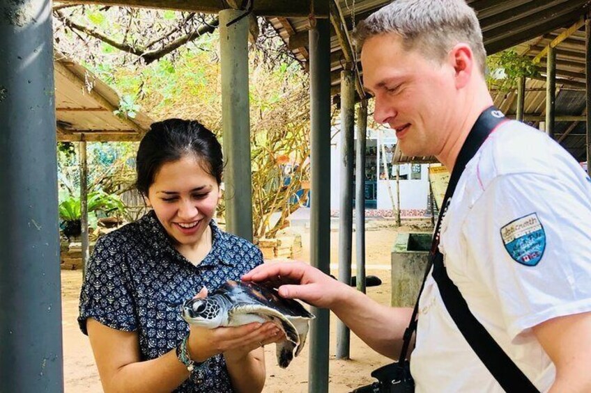 Sea turtle hatchery - Kosgoda