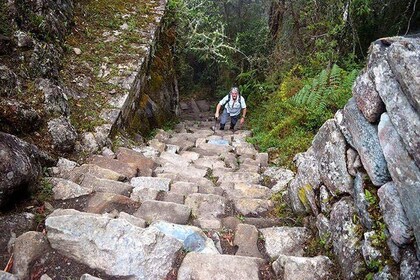 Short Inca Trail, Chinchero, Maras and Moray - Small Group