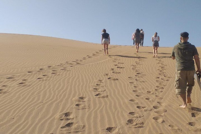 Mini Sahara and Wild Beach Day Trip with Meal