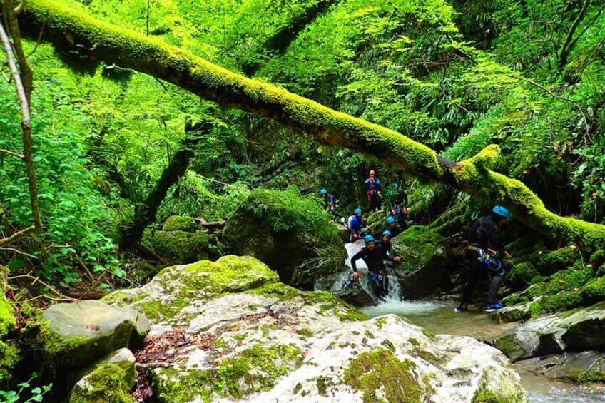 Canyoning on Lake Annecy