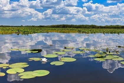 Delta del Danubio - Tour condiviso di 2 giorni da Bucarest