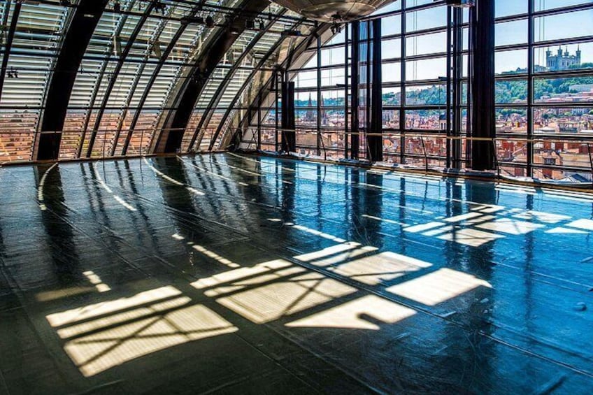 Art and Culture in Lyon with a Local