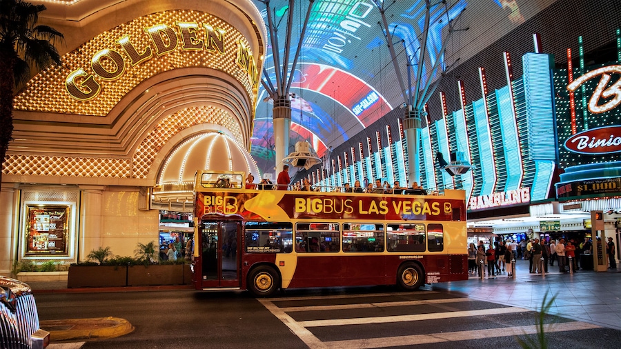 double decker bus stopping by colorfully lit building in Las Vegas