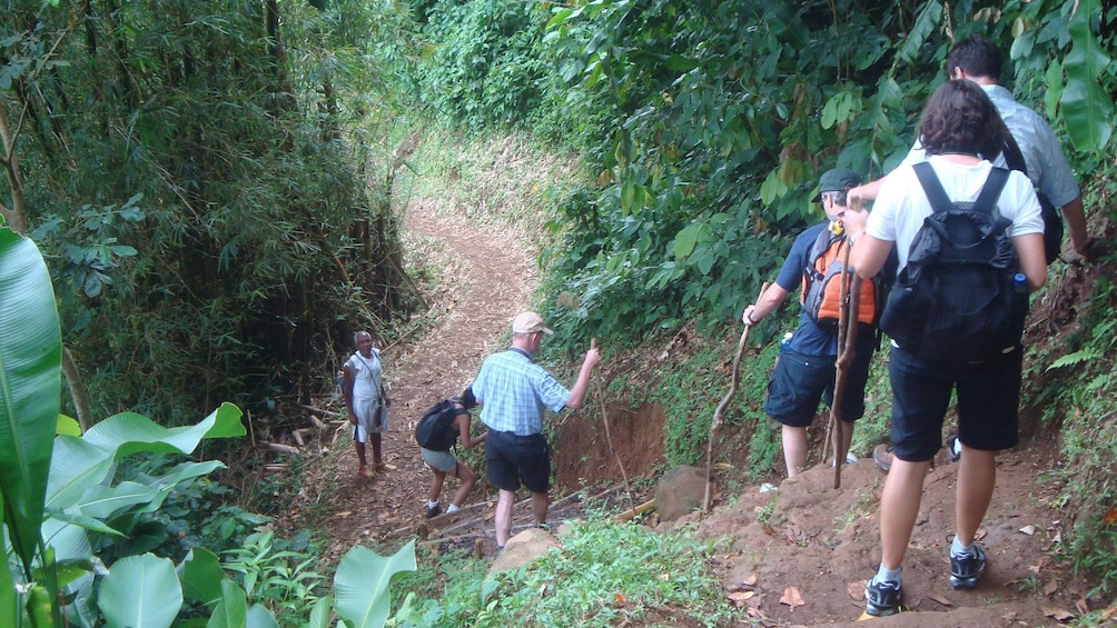 group hiking down a steep dirt path in Grenada