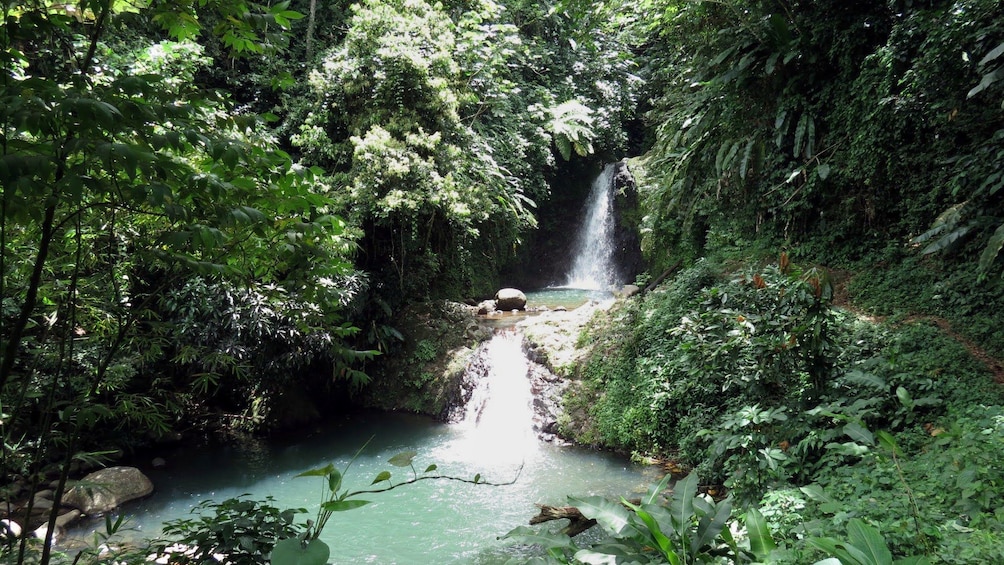 small waterfall in the forest in Grenada