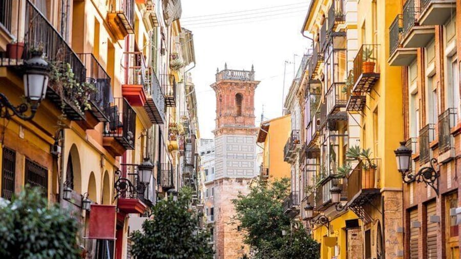 Explore the Instaworthy Spots of Valencia with a Local