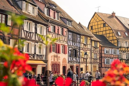 Architectural Colmar: Private Tour with a Local Expert