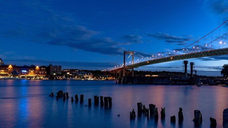 Discover Gothenburg's Nightlife with a Local