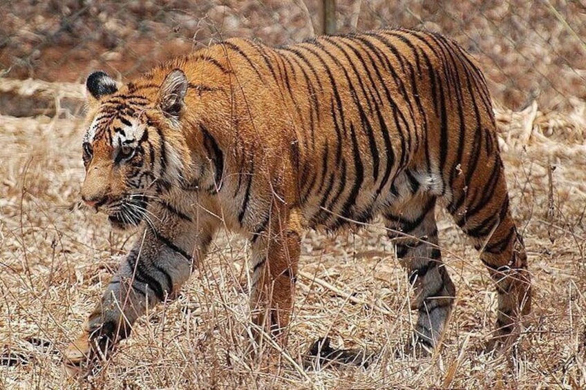 Mhadei Wildlife Sanctuary from Goa