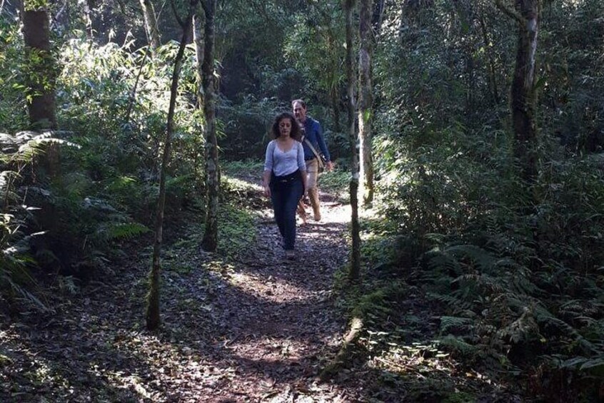 Day trip to Mocona Falls and Salto Encantado Provincial Park
