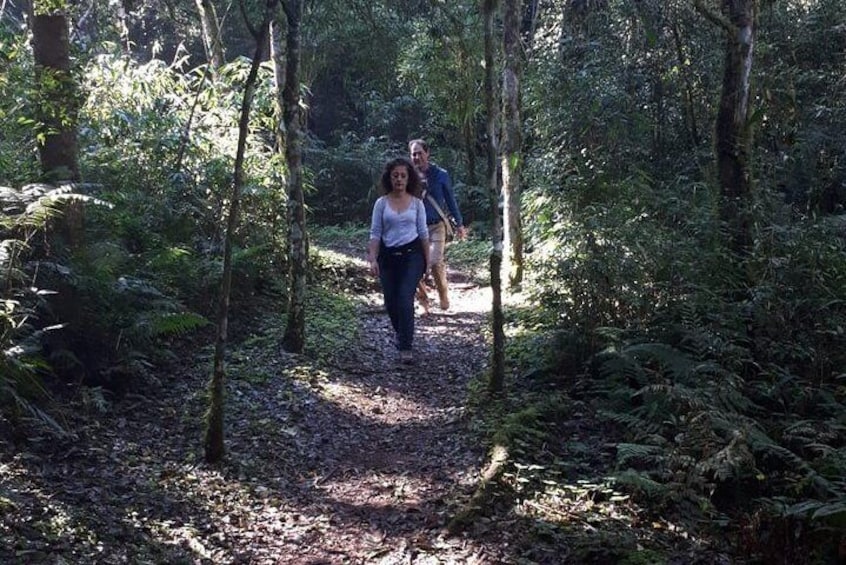 Day trip to Mocona Falls and Salto Encantado Provincial Park