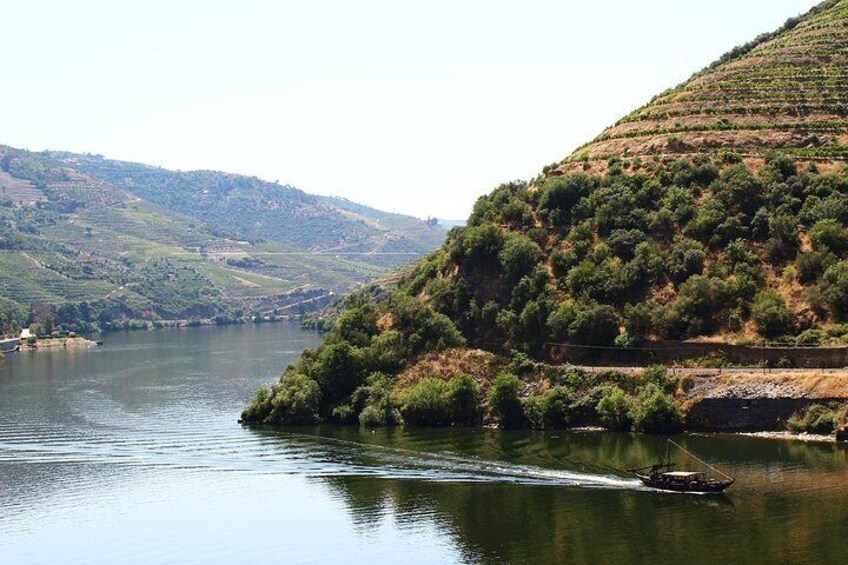 The Douro River