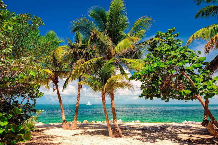 Key West & Parasailing from Fort Lauderdale