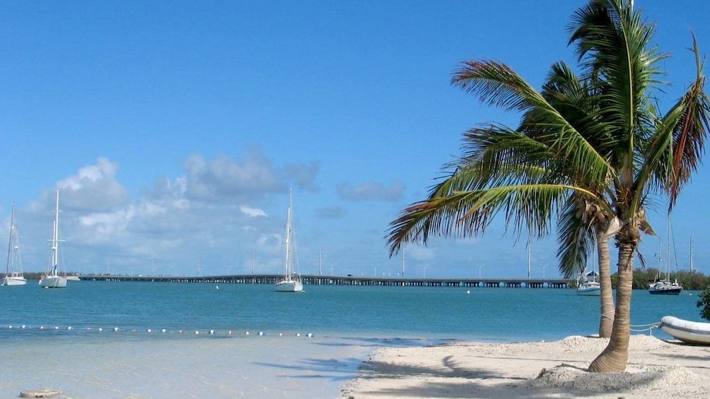 Apri foto 3 di 8. sunny day at the beach in Florida