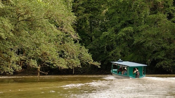 Horseback Riding & Rainforest Boat Tour