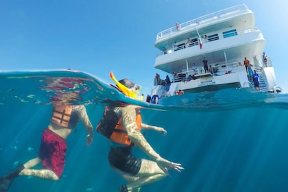 Caborey Snorkeling Tour with Lunch & Open Bar