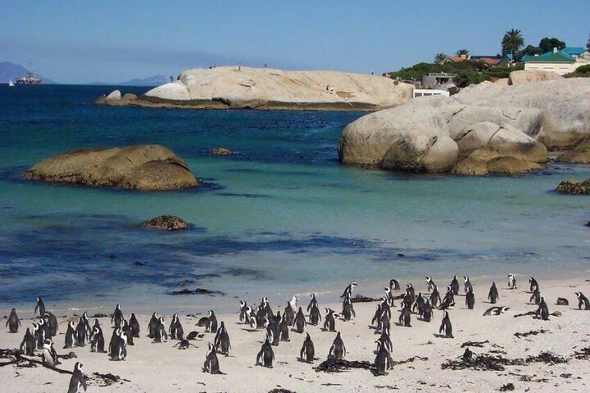 Cape Town 3-Days Attraction Tours: Helicopter Tour &Wine Tasting & Cape Point
