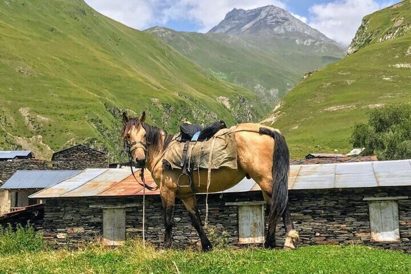 Tour to Tusheti