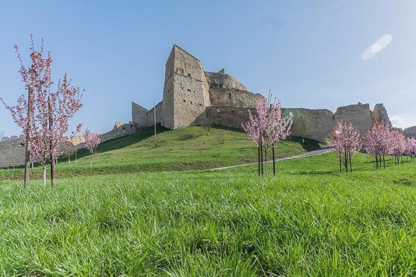 Entrance of Rupea fortress