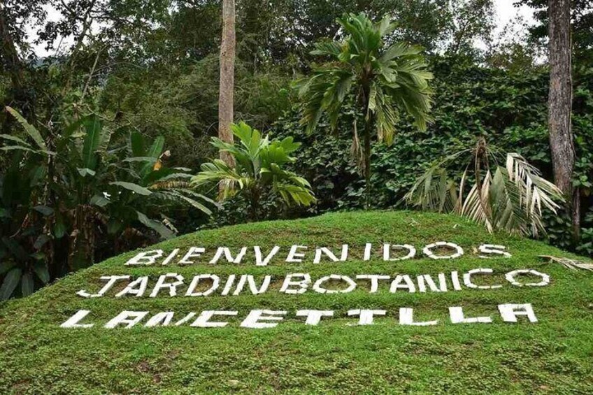 Lancetilla Botanical Garden from San Pedro Sula