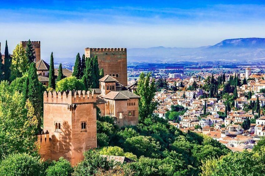 Alhambra and Albaicin Private Tour with official Guide