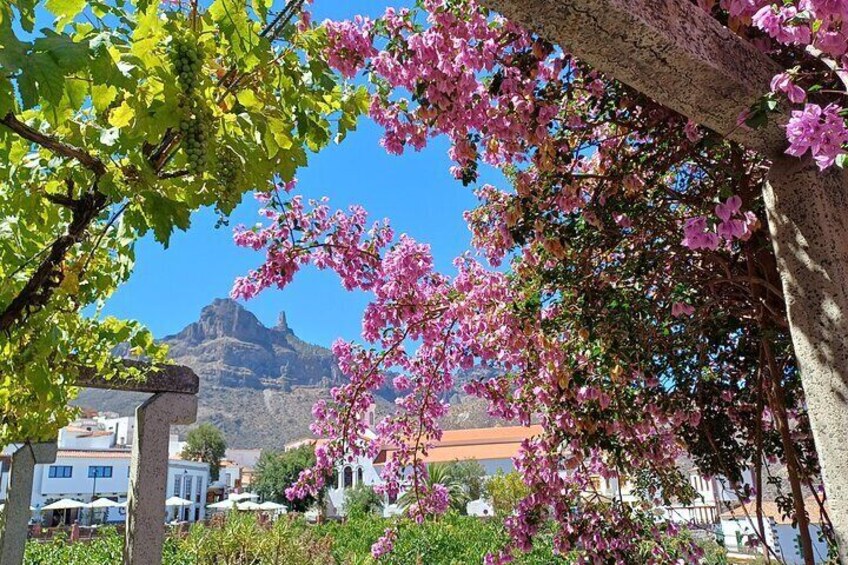 Tejeda