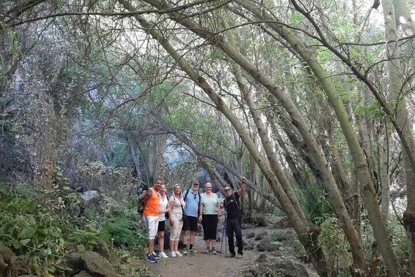 Hiking in Waterfalls & Rainforest by 2 native guides