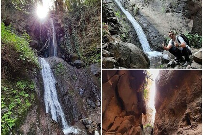 Barranco de los Cernicalos: Waterfalls & Rainforest