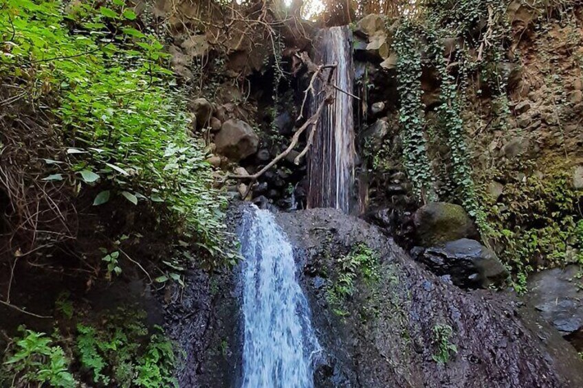 Hiking in Waterfalls & Rainforest by 2 native guides