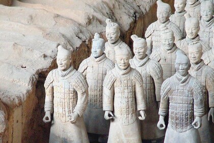 Xi'an Private Full-Day Tour with Terracotta Warriors, City Wall