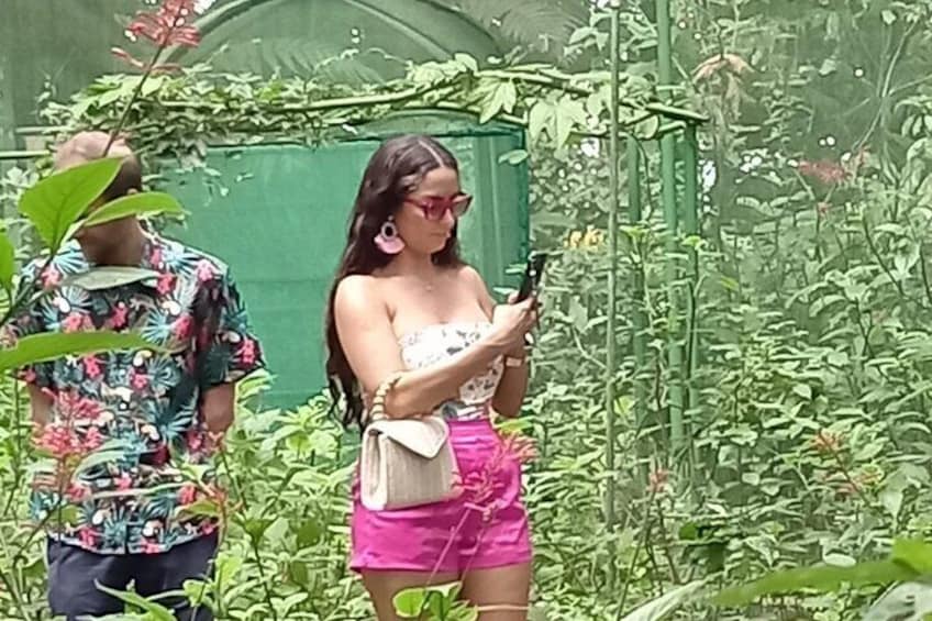 La Fortuna Arenal Butterfly Garden