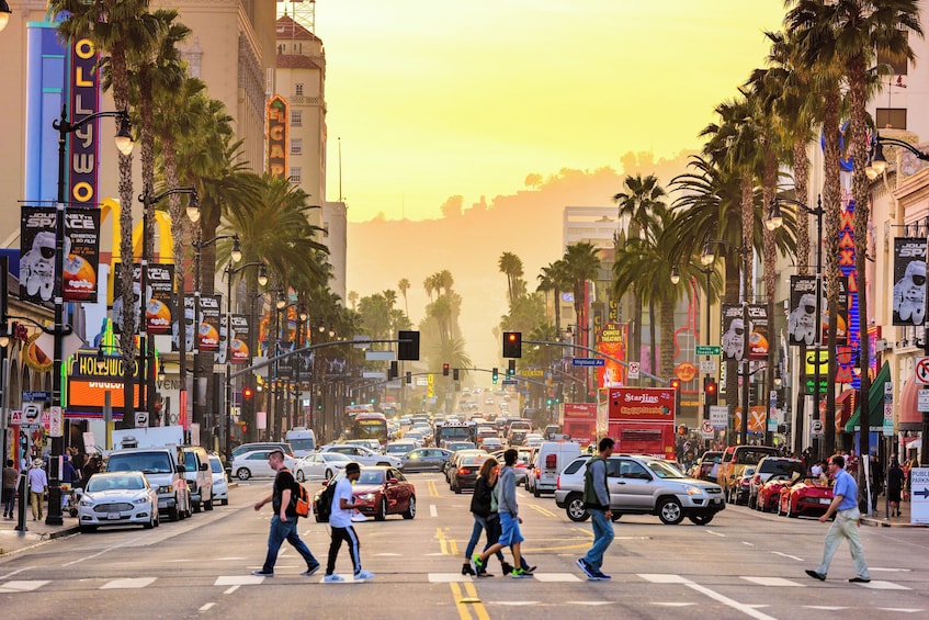 Discover Los Angeles & Hollywood: Hop-On Hop-Off Bus Tour