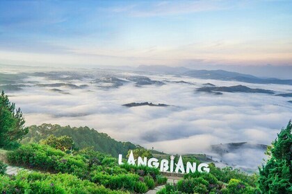 Da Lat Full-day Tour with Langbiang Mountain, Datanla Waterfall, Crazy Hous...