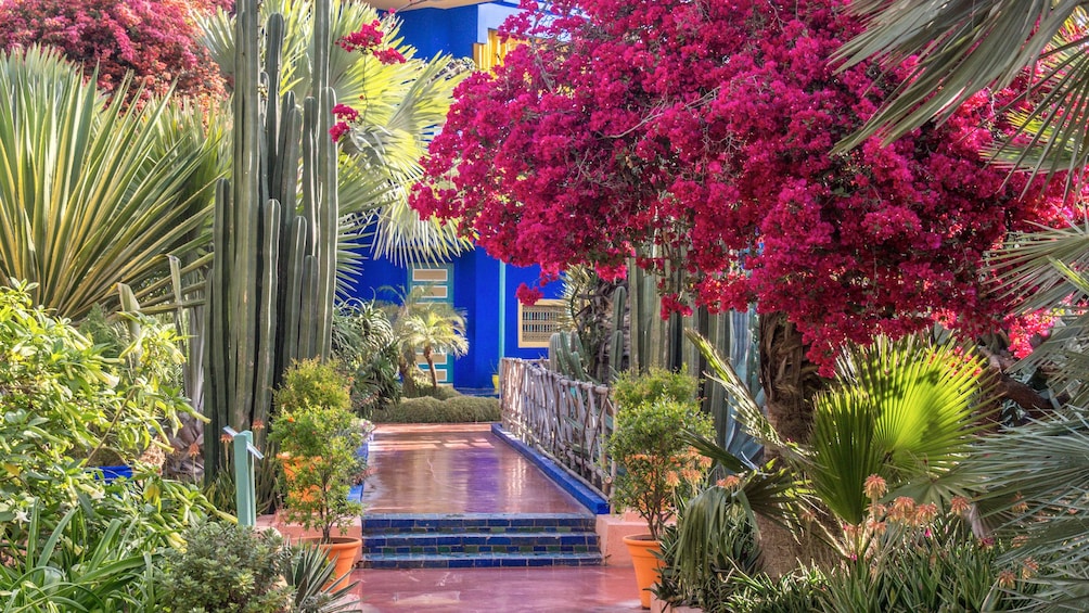 Stunning view inside the renowned Majorelle and Menara gardens in Marrakech 
