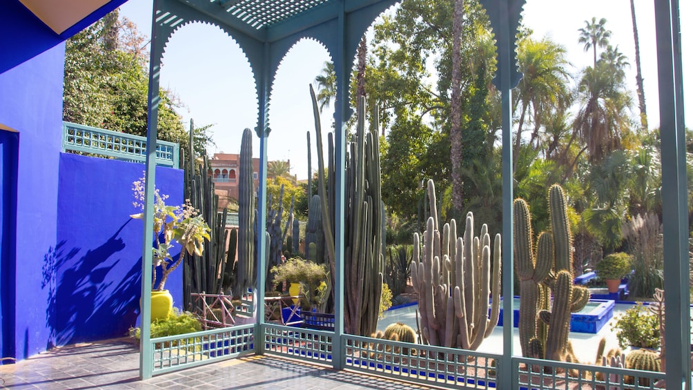 Vew inside the renowned Majorelle and Menara gardens in Marrakech 