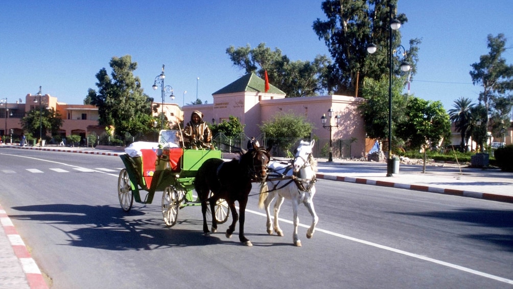 Horse-drawn carriage ride during the sunny day in Marrakech 