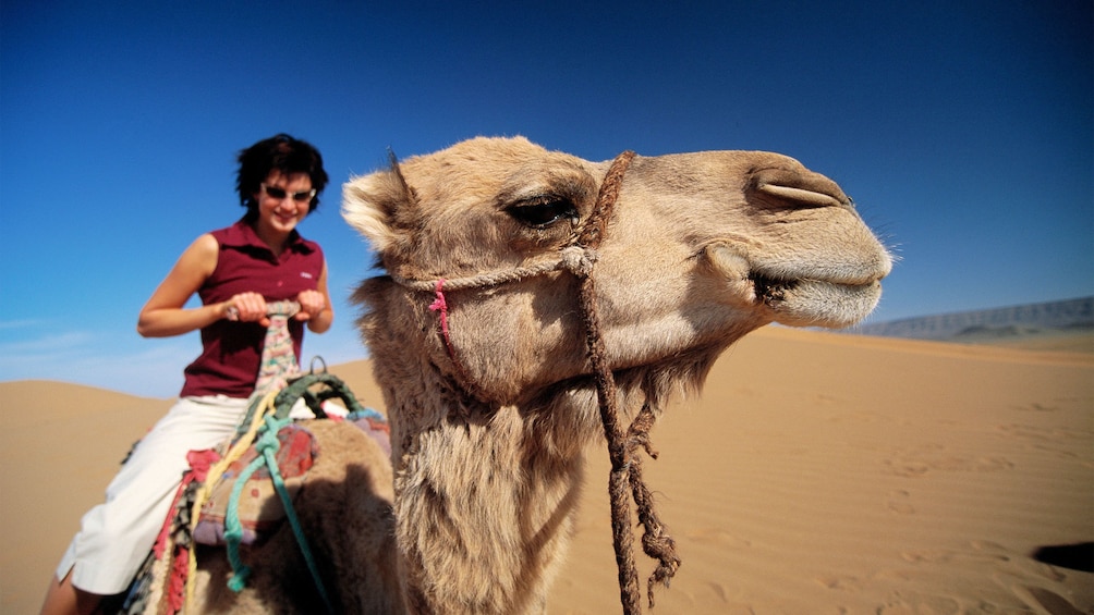 Woman next to a camel in Marrakech 