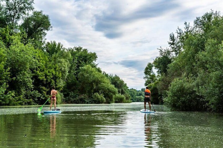 SUP Budapest: Sunset tour
