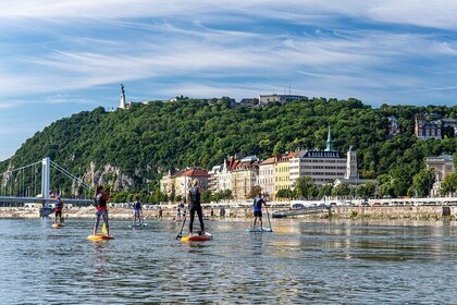 SUP Budapest: Sunset tour