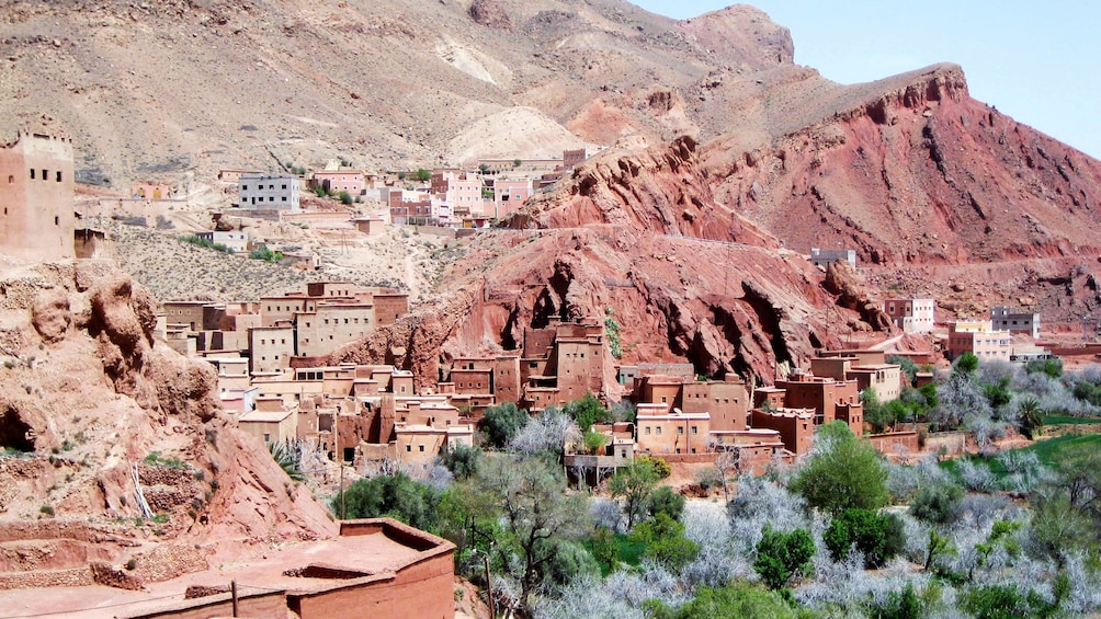 Dadès Gorges in Marrakech 