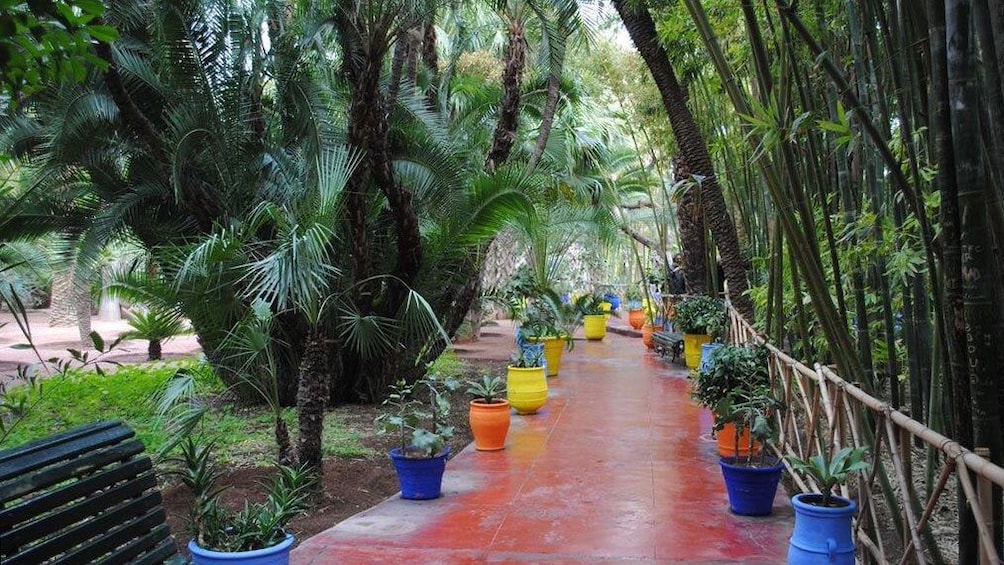 View of Verdant Koutoubia Gardens in  Marrakech 